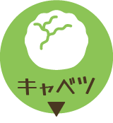 キャベツ