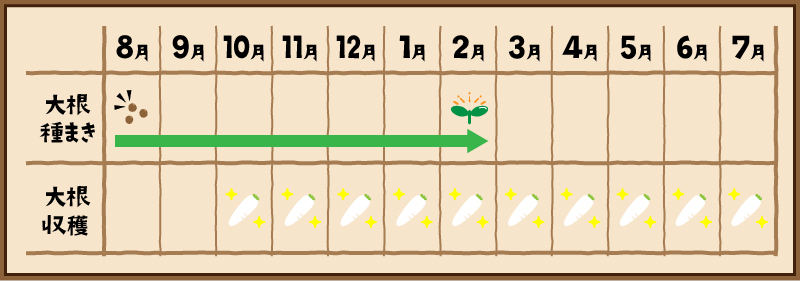 大根栽培期間