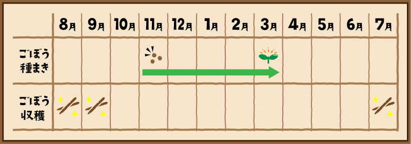 ごぼう栽培期間