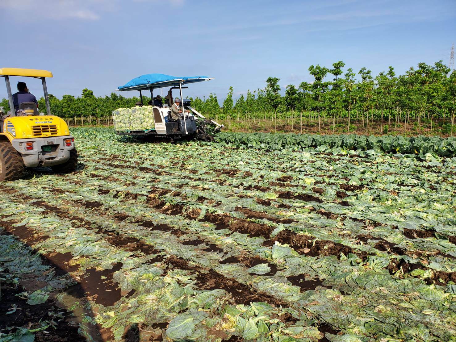 機械による効率的な作業